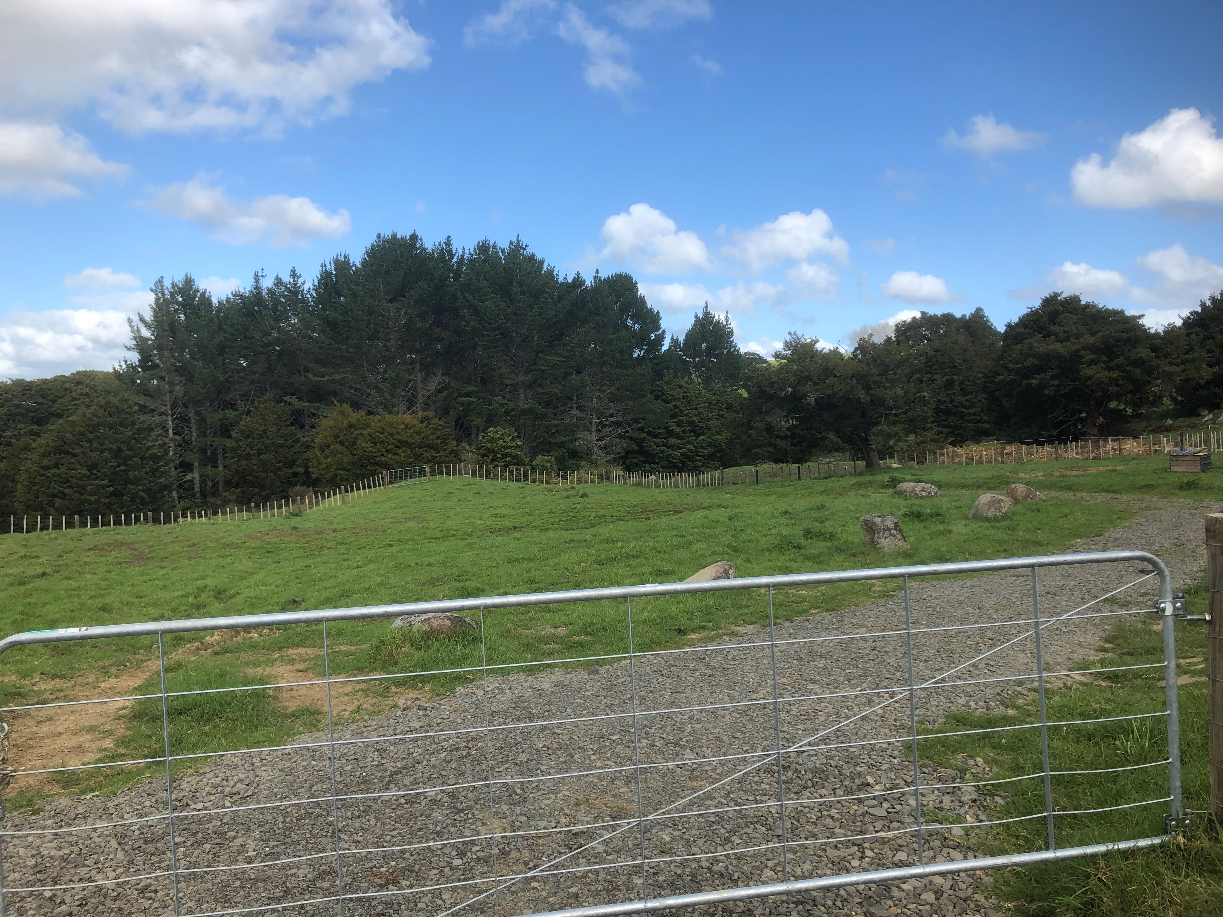 236 Whakataha Road, Waimate North One Agency Far North Licensed (REAA 2008)