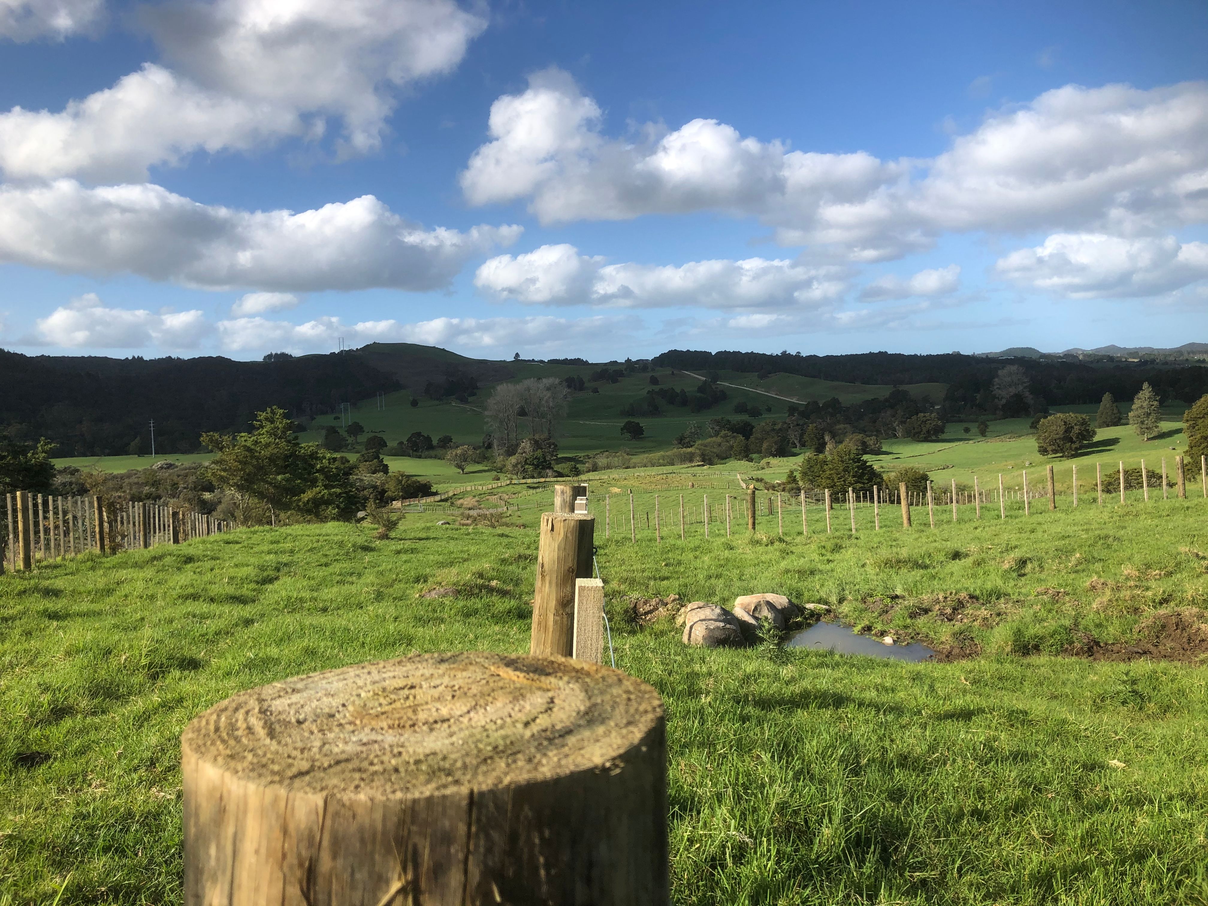 236 Whakataha Road, Waimate North One Agency Far North Licensed (REAA 2008)