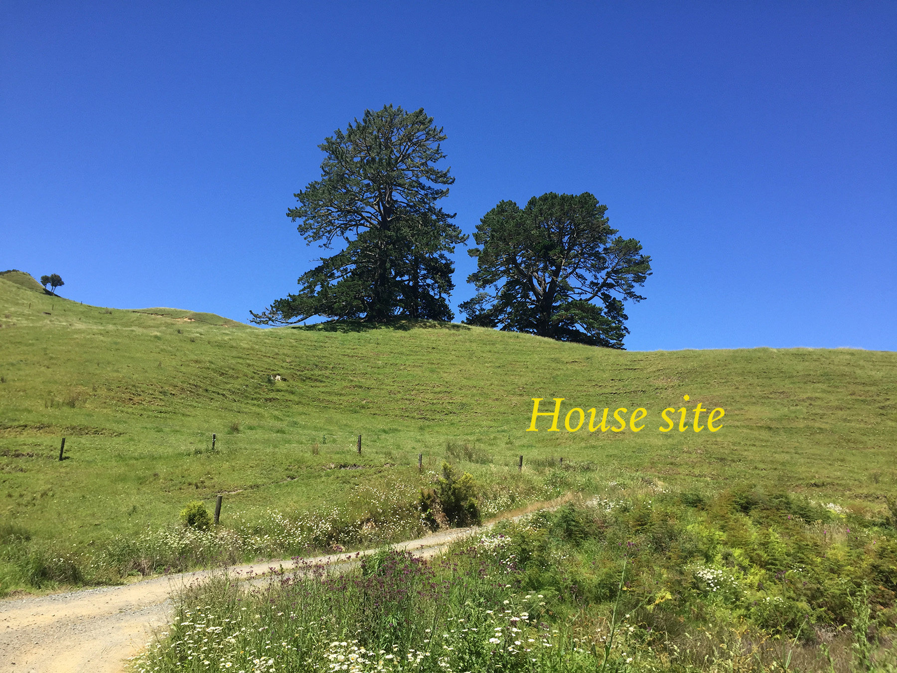Lot 4 349 Wainui Road, Whangaroa , Whangaroa One Agency Far North