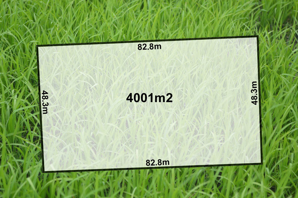 3 NORRIS ROAD, Wasleys Anreps SA