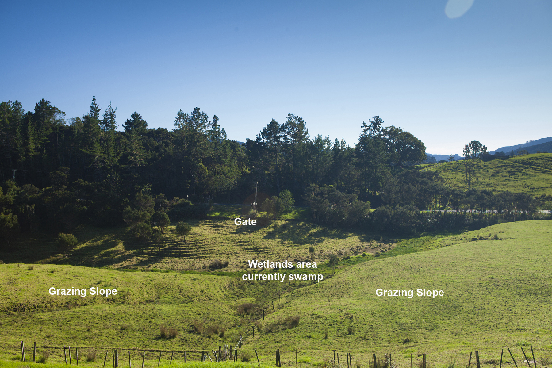 158 Wainui Road, Kaeo One Agency Far North Licensed (REAA 2008)