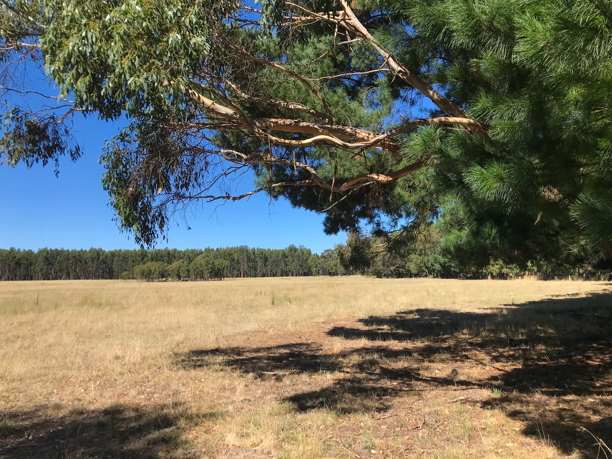 179 Coalmine Road, Lal Lal Bartrop Real Estate