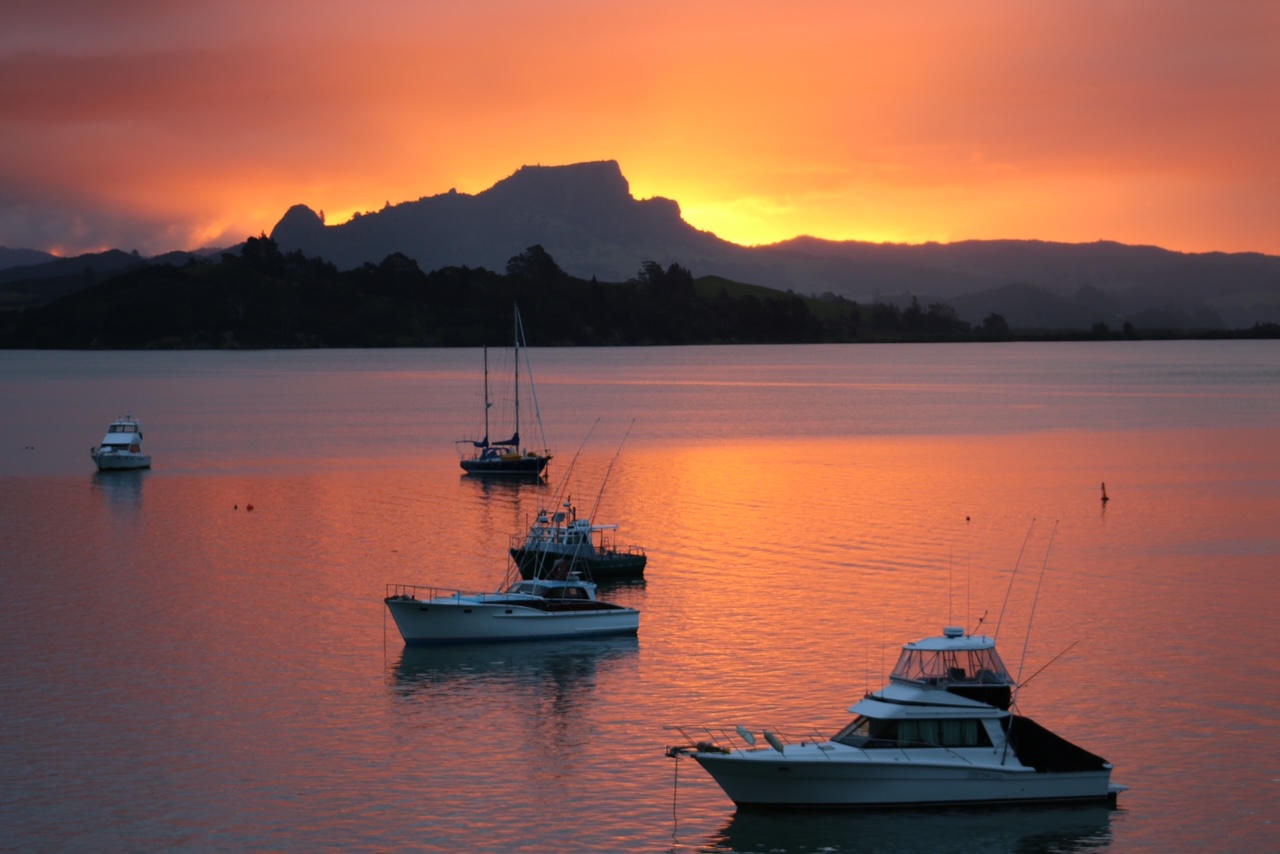 586 Whangaroa Road, Whangaroa One Agency Far North Licensed (REAA 2008)