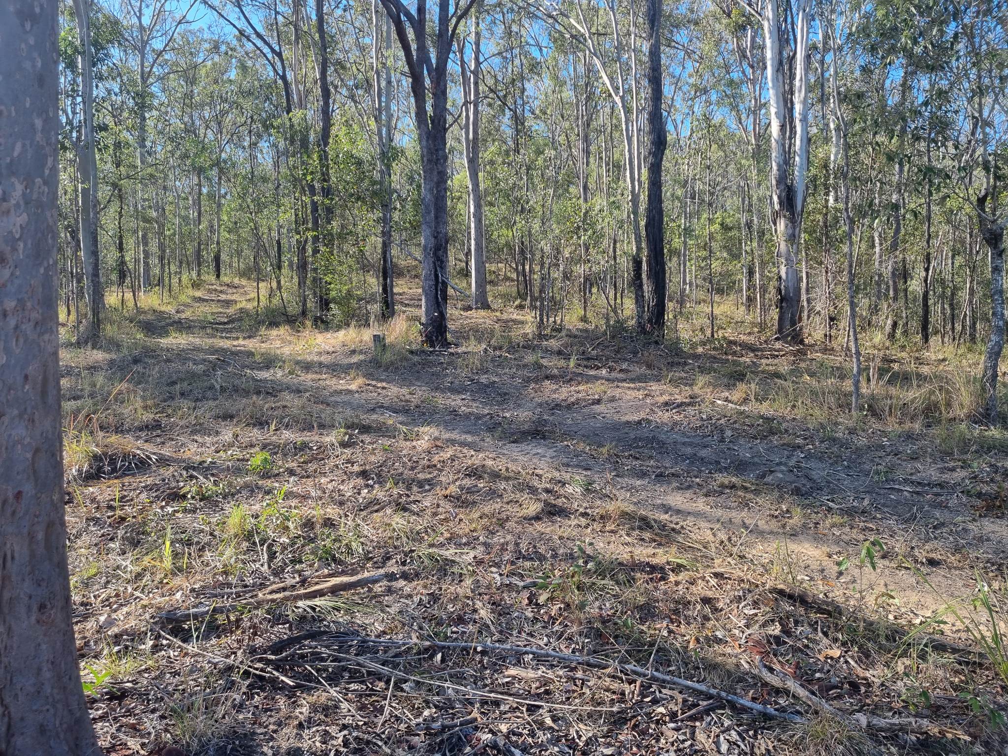 209219 Clydesdale Road, Jimboomba We Are Property
