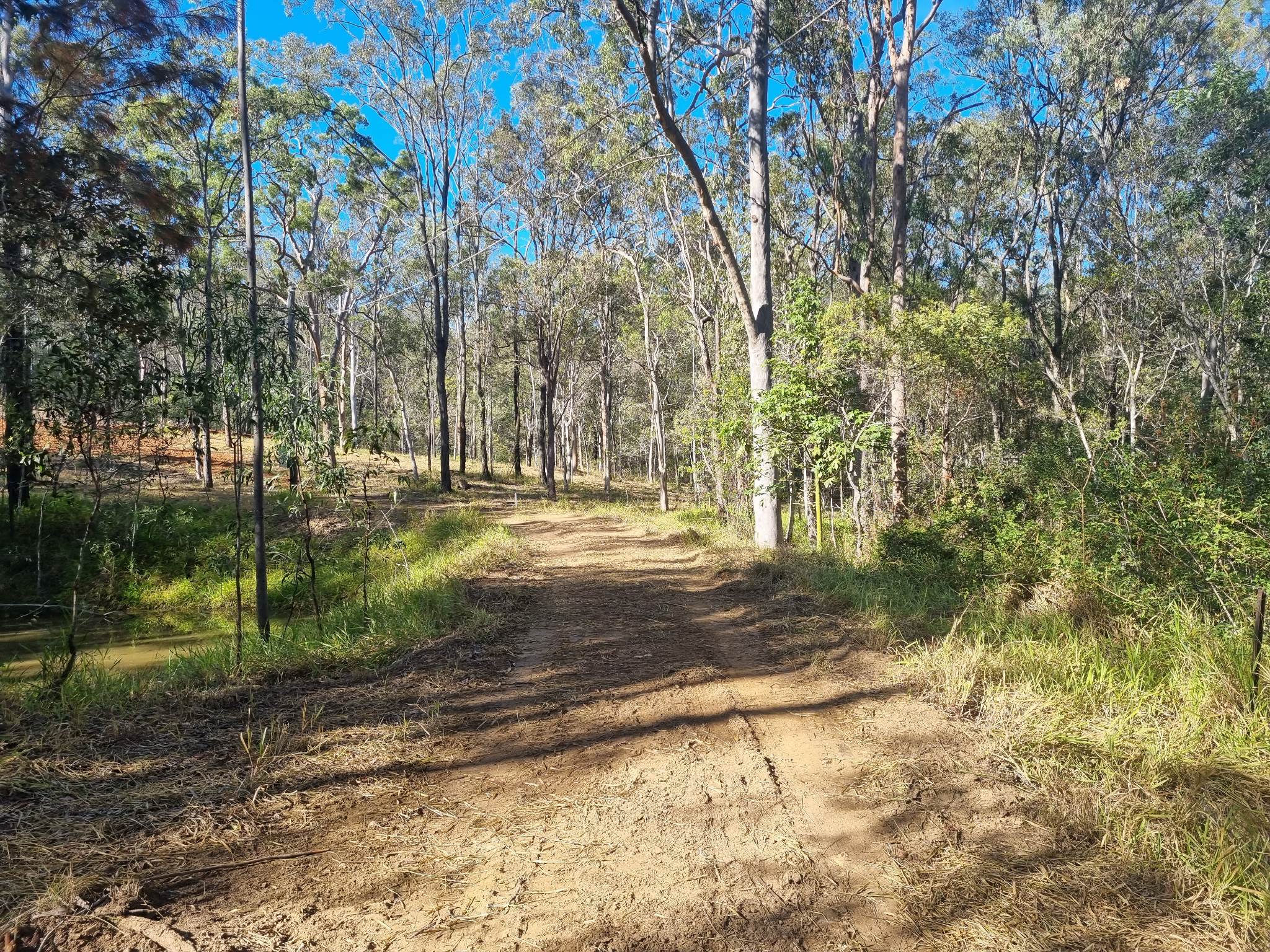 209219 Clydesdale Road, Jimboomba We Are Property