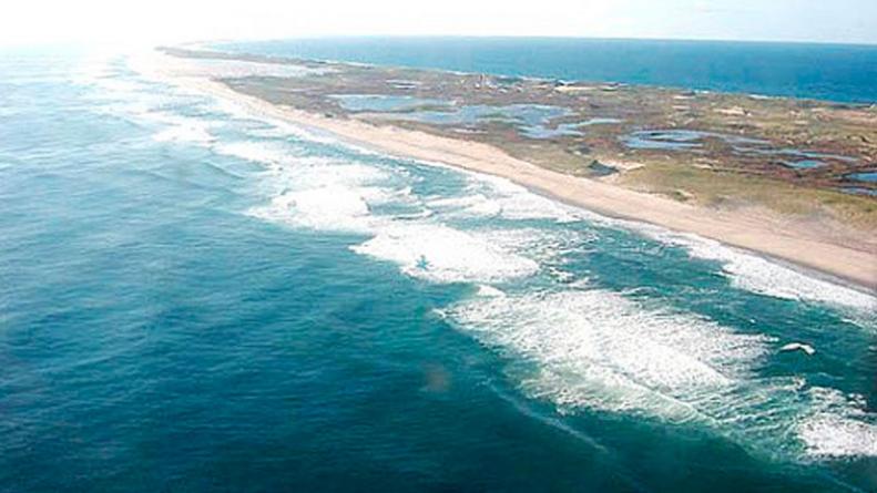 Curioso: La única habitante de una isla