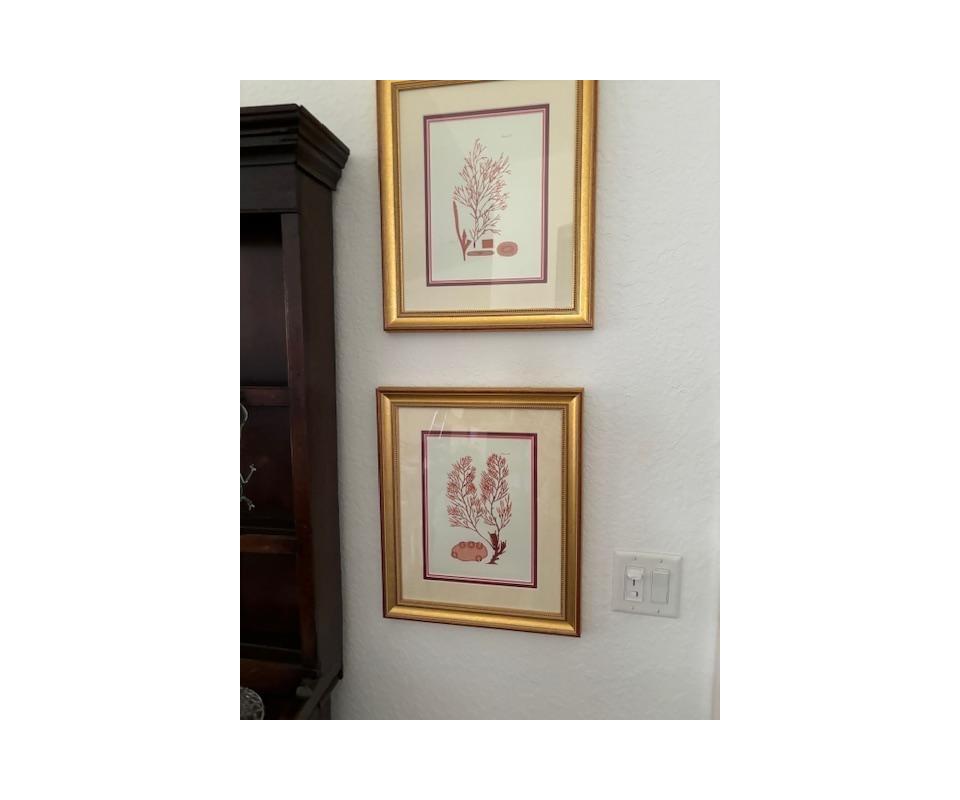 TCES Estate Sale this Saturday