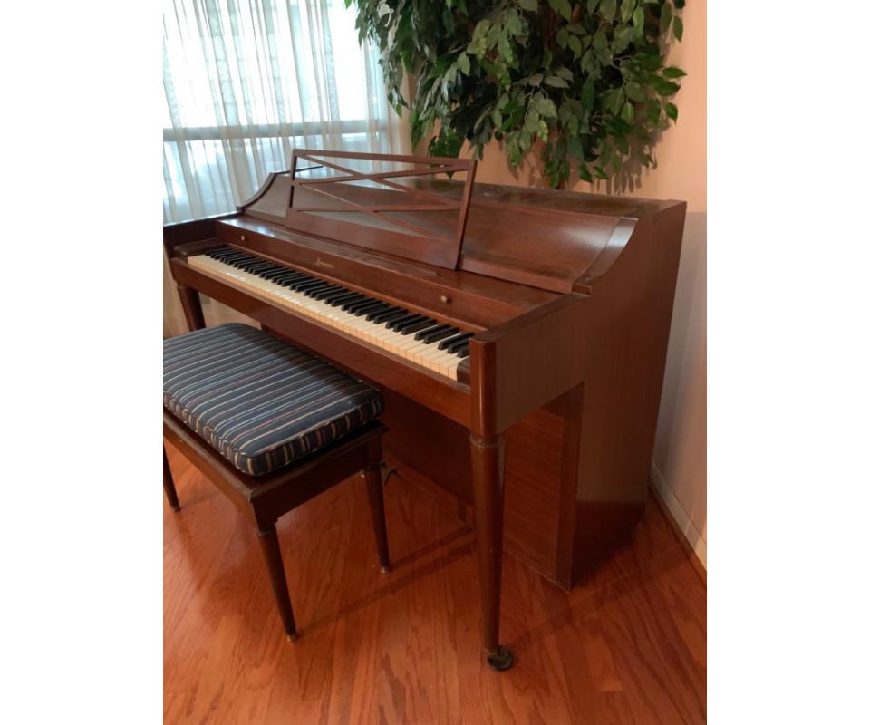 Briar Forest Ashford Estate Sale 50 Off Sunday