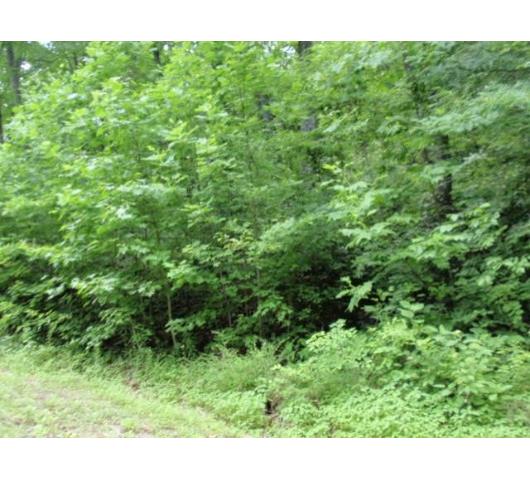 44 BANK OWNED PROPERTIES IN SEVIER COUNTY