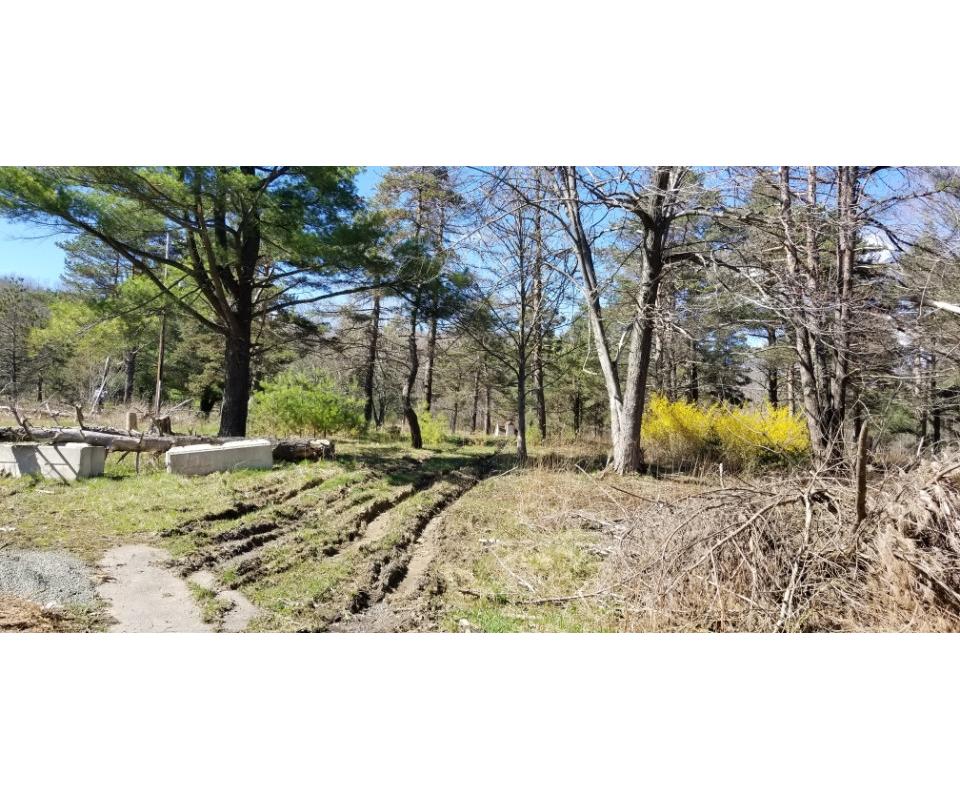87 Acres, Roaring Brook Twp PA
