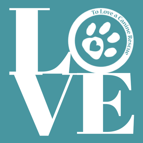 TLC LOVE Dog Rescue