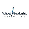 Voltage Leadership Consulting blog