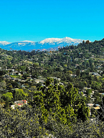 Laura Lothian - 4176 E Arrieta Circle