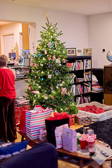 Fong and Pennell Christmas 2025