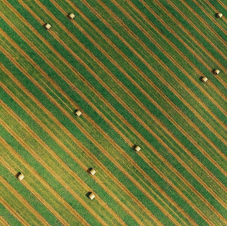 agriculture drone