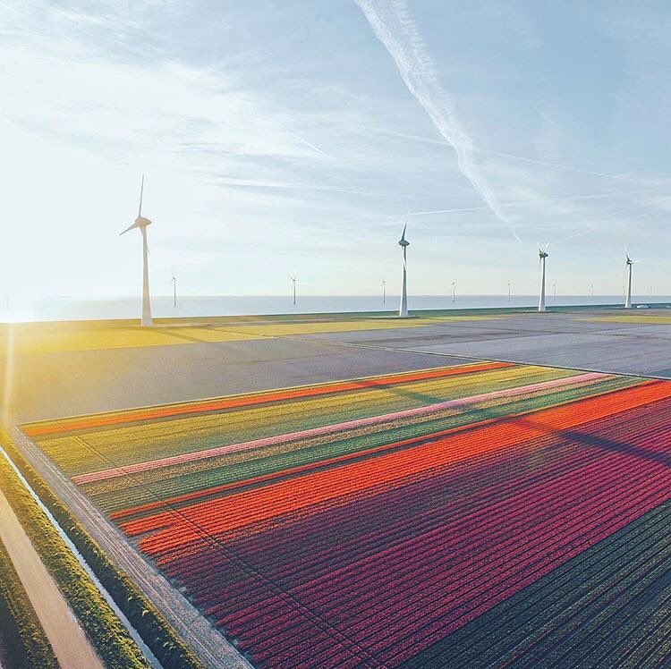 agriculture drone