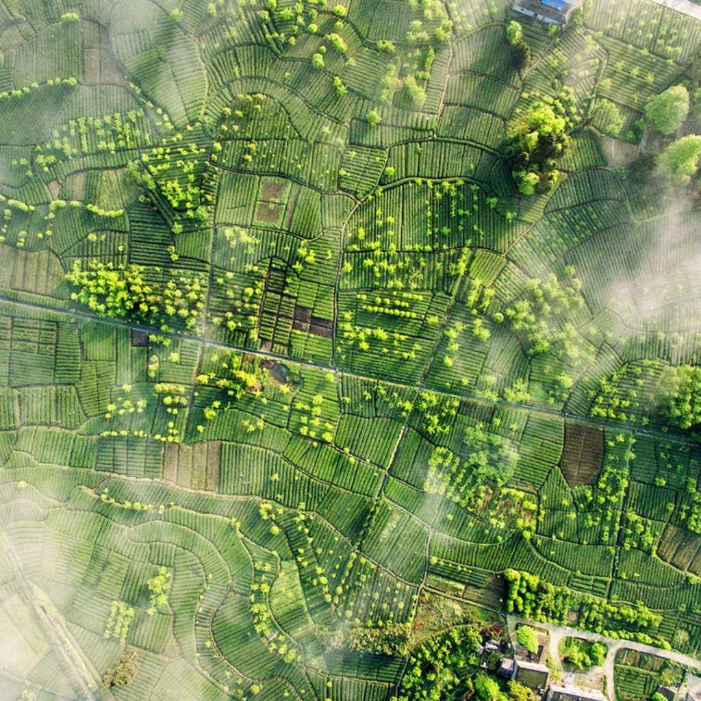 agriculture drone