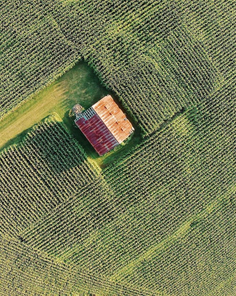 agriculture drone