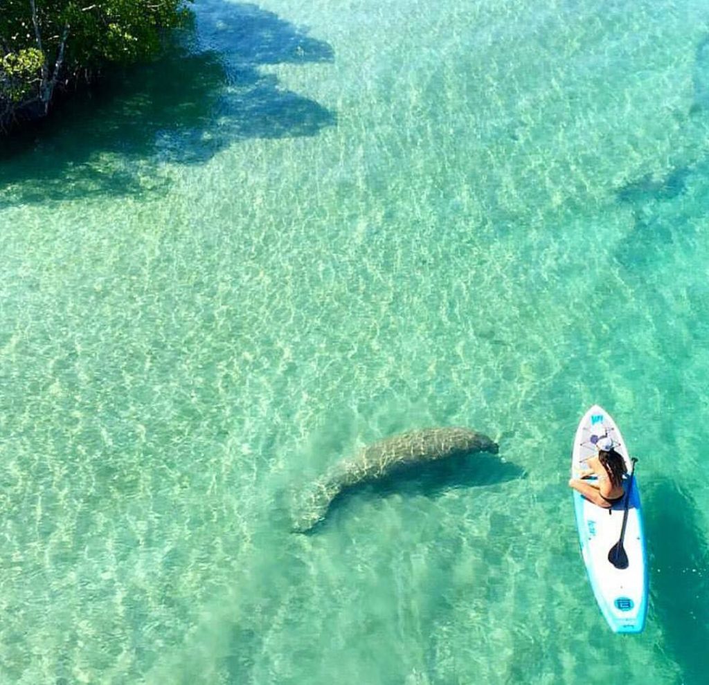 summer drone pics