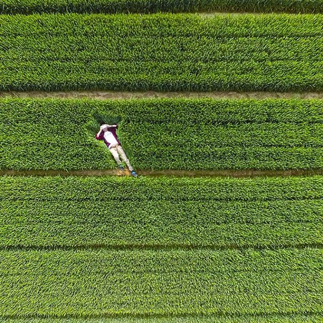 summer drone pics