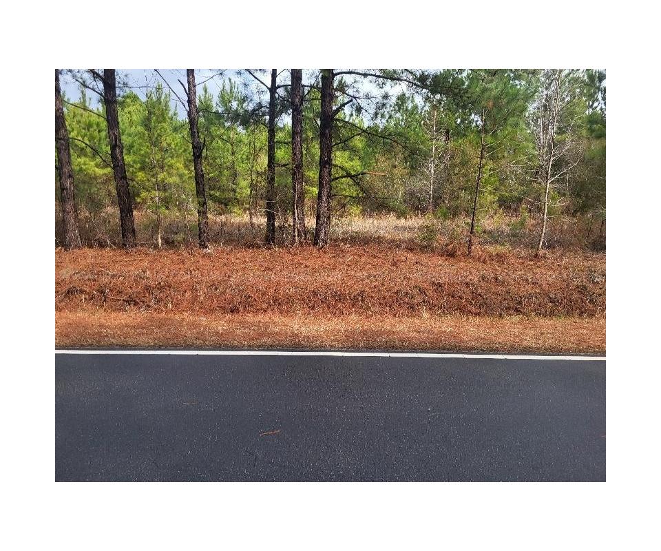 TAX FORECLOSURE SALEWOODED RESIDENTIAL LOT