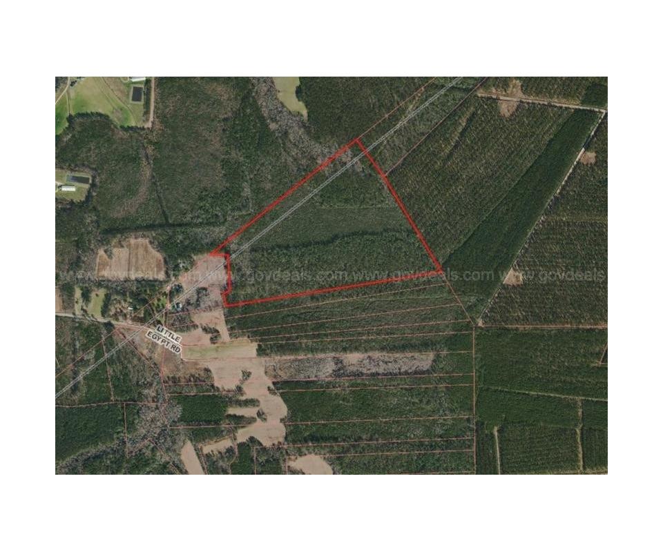 Tax Foreclosure Sale 100 Acre (+/) Wooded Residential Lot