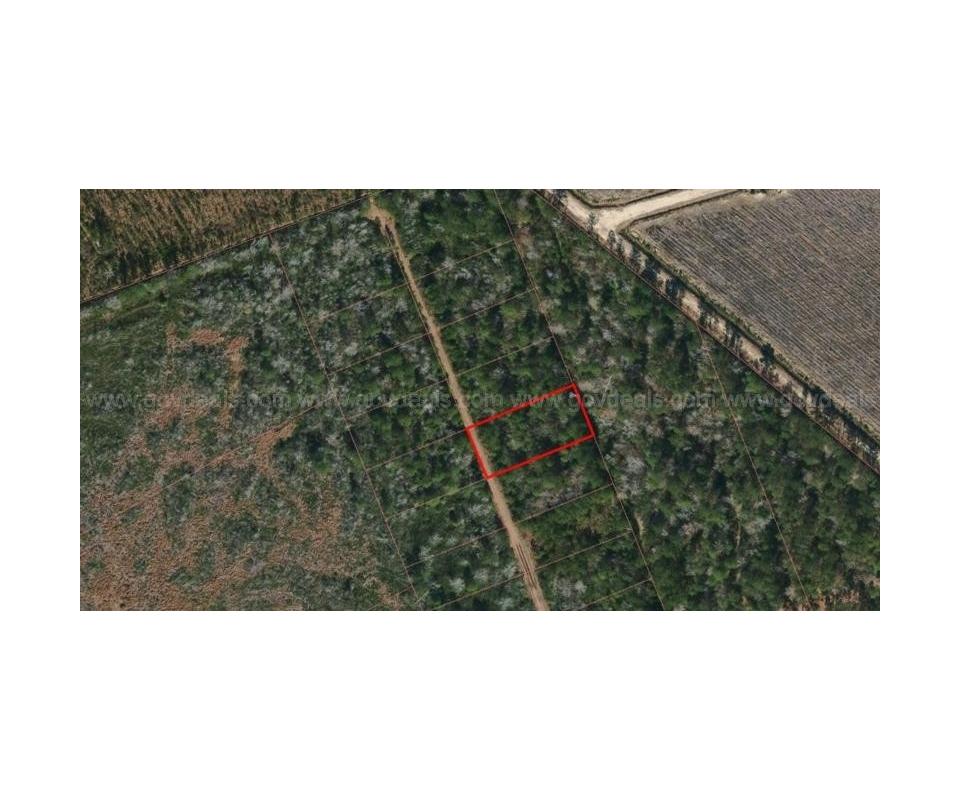 .49 Acres of Wooded, Residential Land in Burgaw, NC Tax Foreclosure Sale