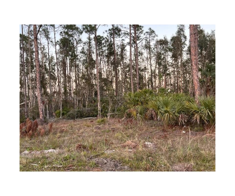 Residential Real Estate in Charlotte County, FL 12518 Laguna Drive