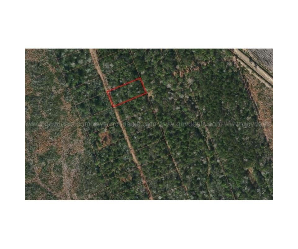 Tax Foreclosure Sale .49 Acres Wooded, Residential Lot in Burgaw, NC