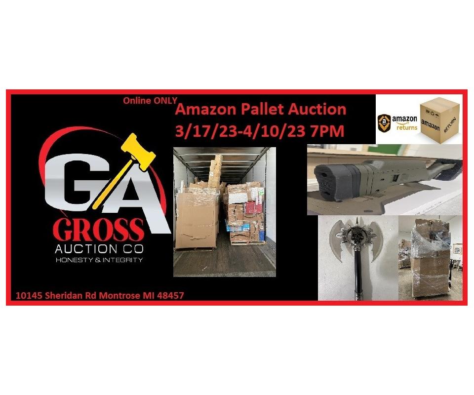Amazon Pallet Auction