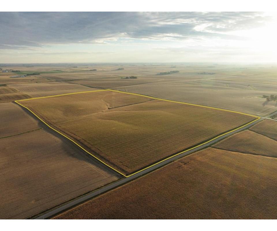 Grundy County, IA 194 +/ Acres