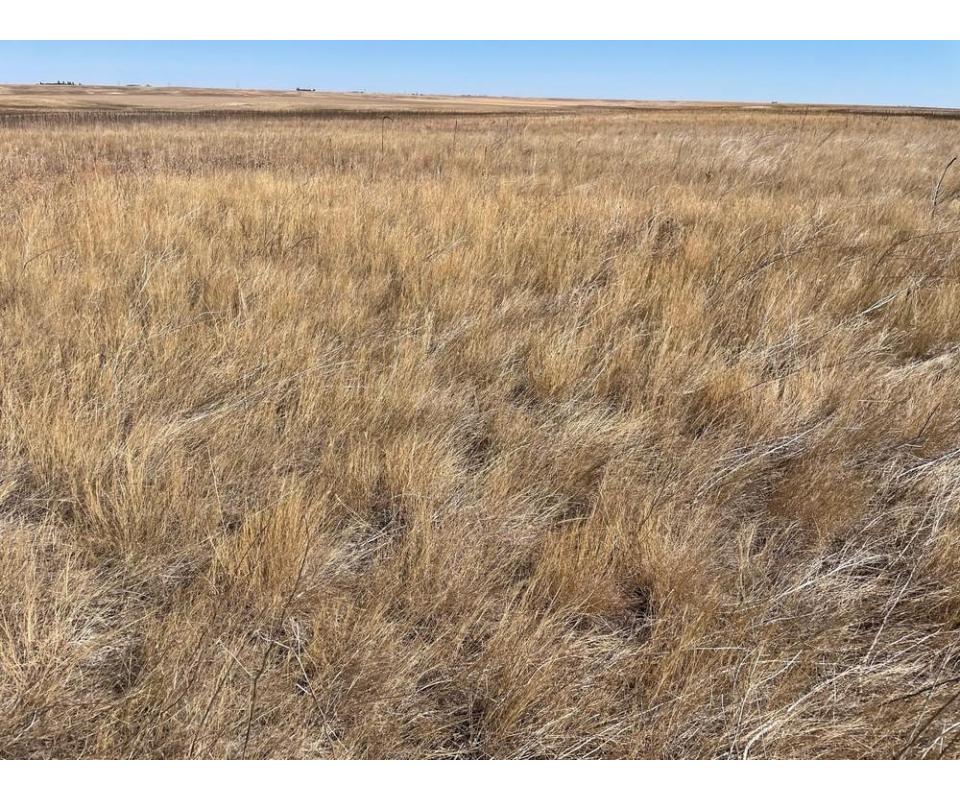 BANNER COUNTY LAND AUCTION