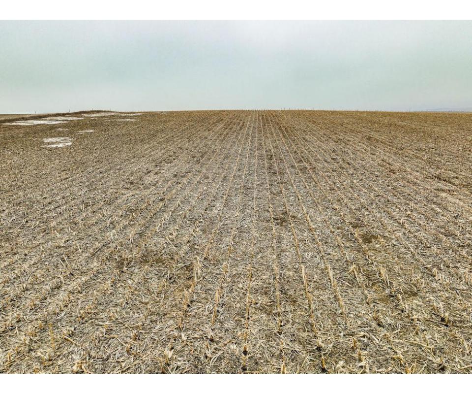 3/30/2023 Tract 1 of 6 Cedar County Nebraska LAND AUCTION