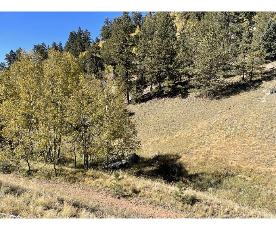 Land For Sale In Divide, Colorado