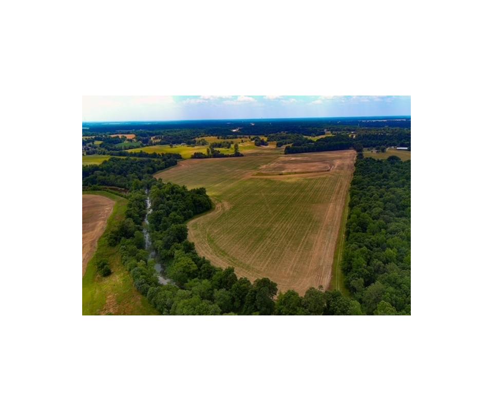 Southeast Missouri Row Crop Farm & Separate Home on 6 Acres!