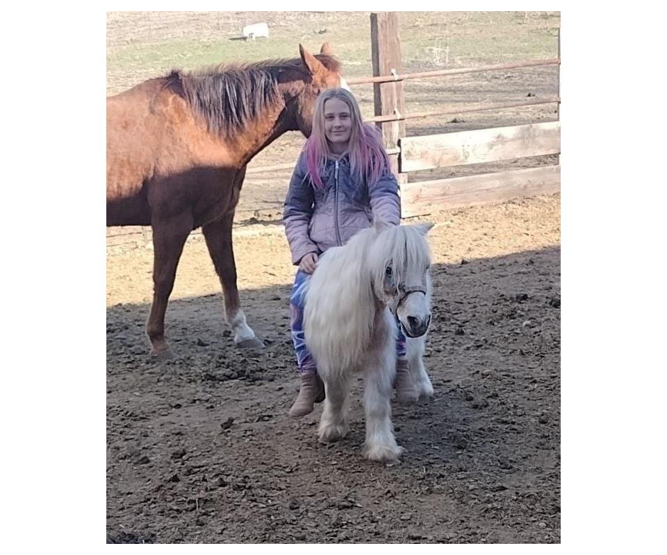 Catalog Horse Auction Sunday April 7th