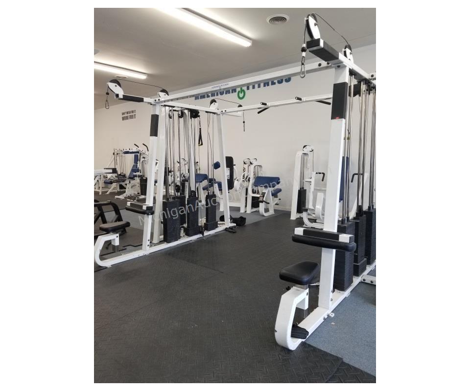 American Fitness Gym Equipment Auction