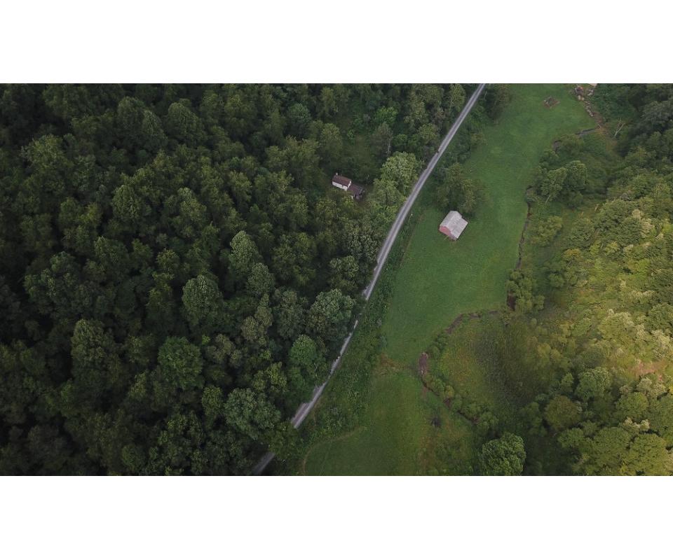 65 Acres of Prime Hunting Land with a Cabin