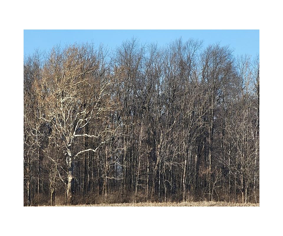 Oak Creek Land Company