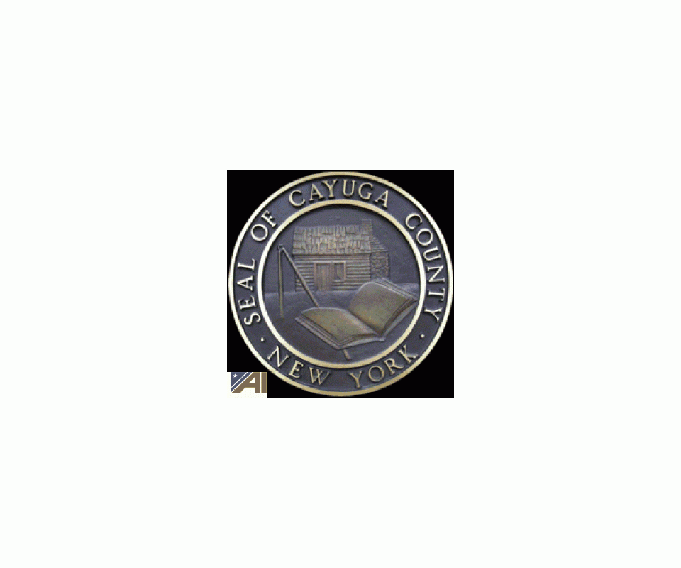 Cayuga County & City of Auburn Tax Foreclosed Real Estate Auction