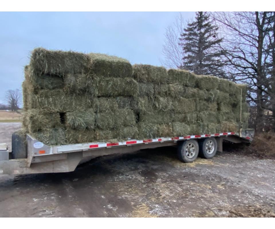Hay, Straw & Firewood Auction