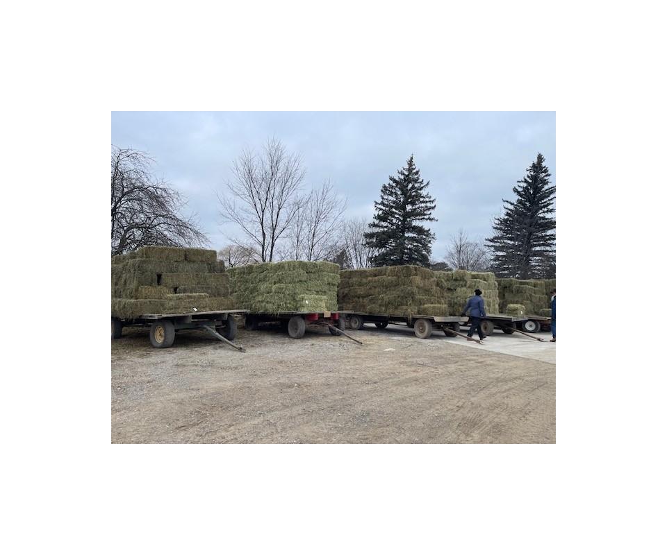 Hay, Straw & Firewood Auction