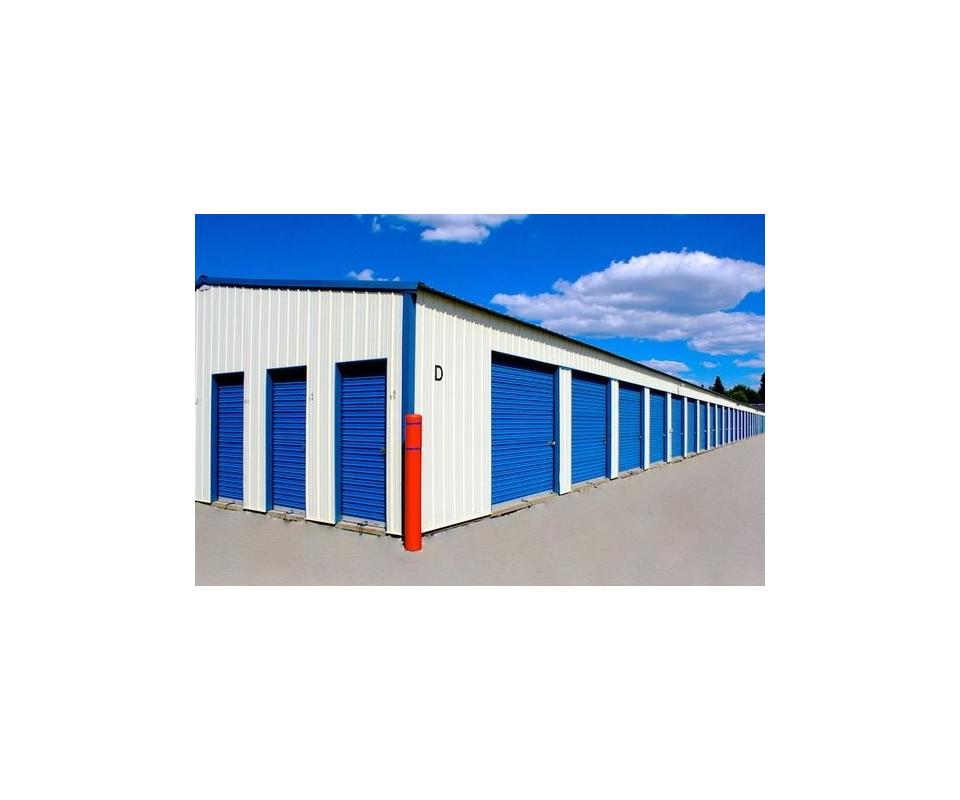 Storage Wars Auction