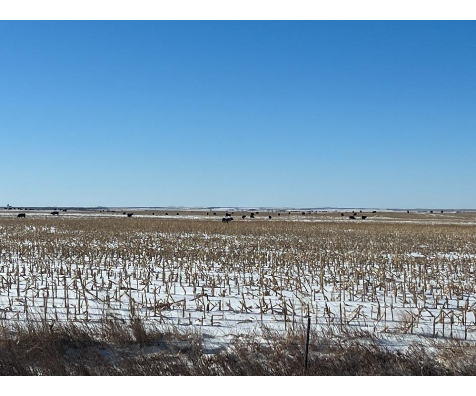 McPherson County Land Auction
