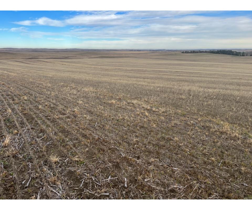 Corson County, SD Land Auction