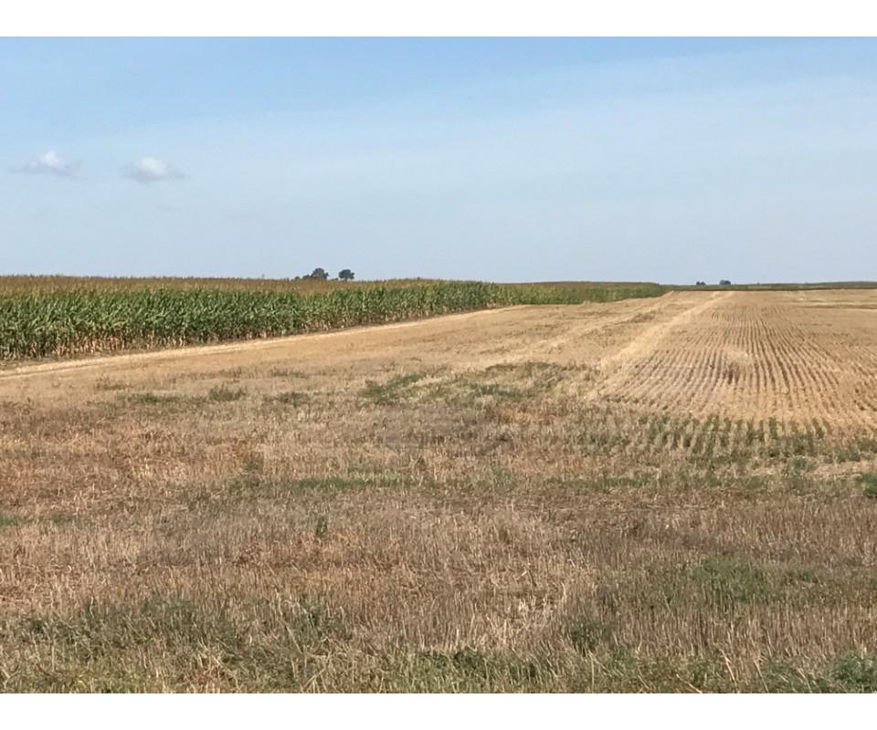 315 Acres Brown County Farm Land
