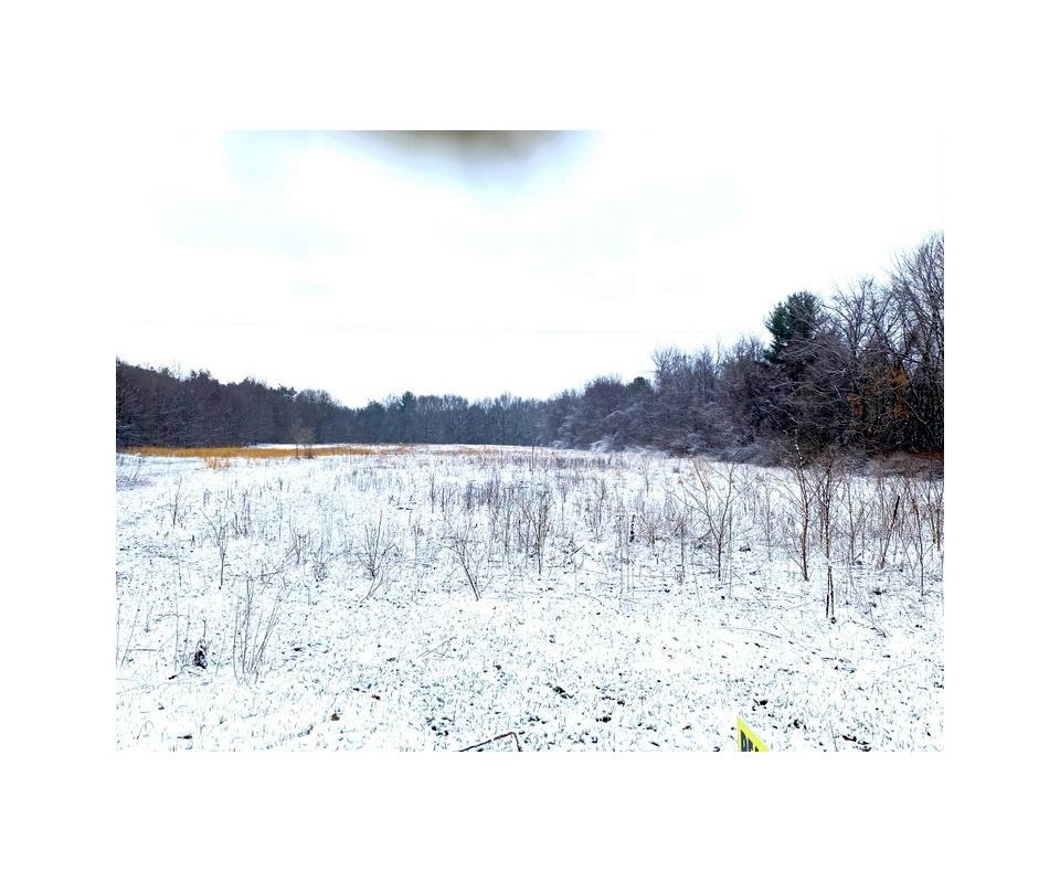 Online Auction 39 Vacant Residential Acres in Allegan, MI