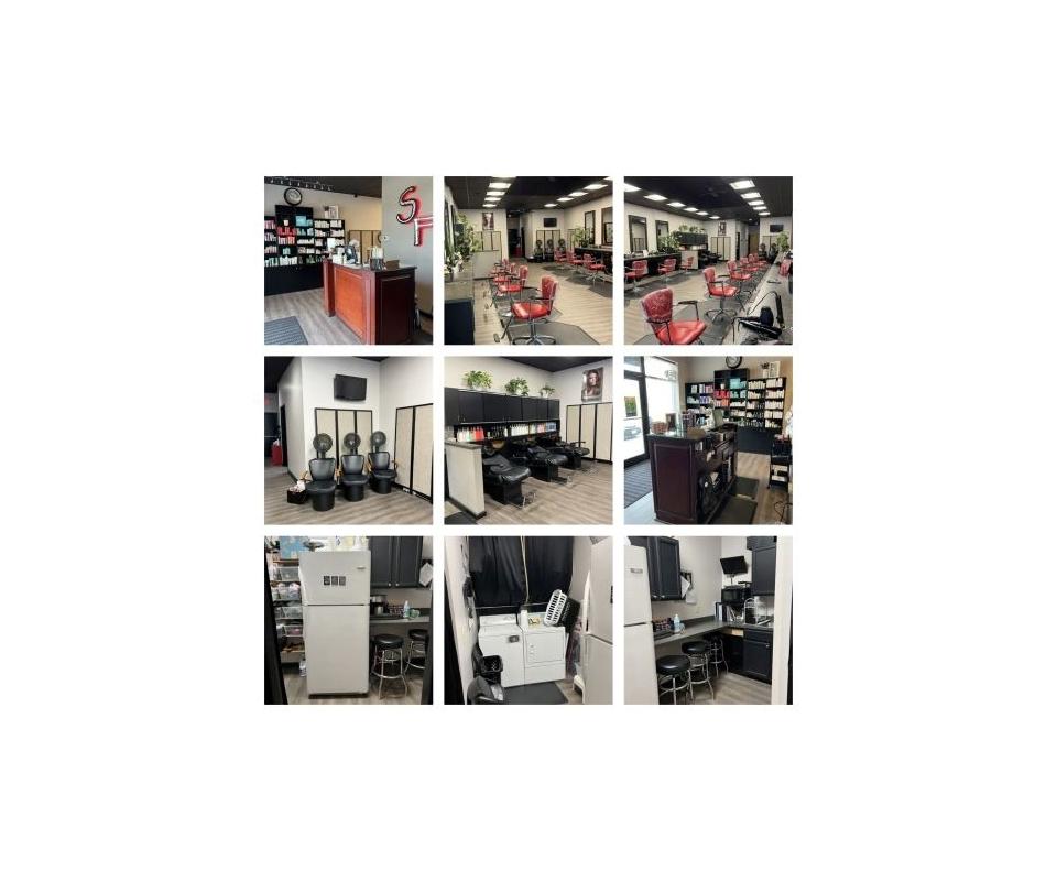 Salon Fusion Auction