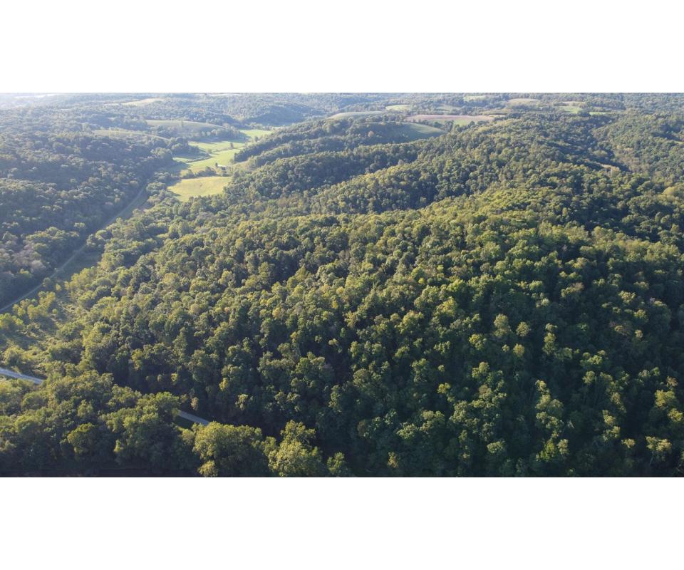 Coshocton County Trophy Hunting Property (Walhonding Area)