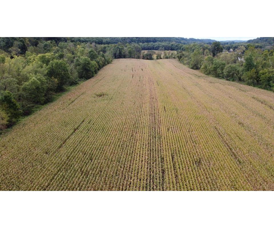 Absolute Muskingum County Land Auction (Dresden/Zanesville Area)